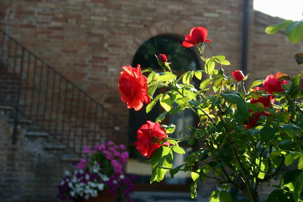 Fattoria Armena Villa Buonconvento Bagian luar foto